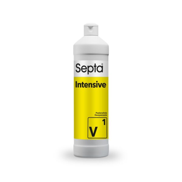 SEPTA INTENSIVE V1